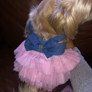 Puppy dress! Too cute